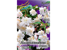 60,77���. ������� ����������� �����(�������� ���� �� 3 ��., ����������� ����� 1��.).jpg