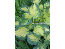 196,6���. ����� ��� ���(�������� ���� �� 1 ��., ����������� ����� 1��.).jpg