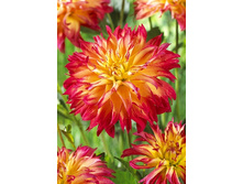 87,2���. �������� ���������(�������� ���� �� 1 ��., ����������� ����� 1��.)���15.jpg