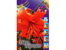 37,4���. ����� ���� �������(�������� ���� �� 5 ��., ����������� ����� 1��.).jpg