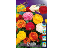 16,34���. ������� ���� ��������(���������� ������ ������ ���������� �� 10 ��.).jpg