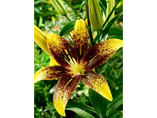 39,64���. ����� ��������(�������� ���� �� 5 ��., ����������� ����� 1��.).jpg