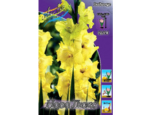 8,61���. ��������� ���� ����(���������� ������ ������ ���������� �� 7 ��.).jpg