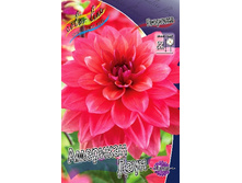 82���. �������� �������� ����(�������� ���� �� 1 ��., ����������� ����� 1��.)���14.jpg