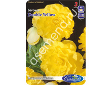 �������� ������.jpg