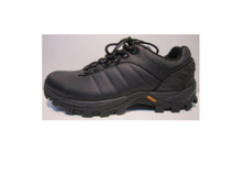 2500 ���., 41-46