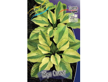 263���. ����� ��� �����(�������� ���� �� 1 ��., ����������� ����� 1��.).jpg