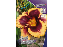 180���. �������� �� �� �������(�������� ���� �� 1 ��., ����������� ����� 1��.).jpg