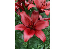 21,9���. ����� �������(�������� ���� �� 7 ��., ����������� ����� 1��.)���15.jpg