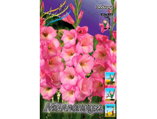 8,18���. ��������� ���������(���������� ������ ������ ���������� �� 8 ��.).jpg