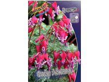 316���. �������� ���� ������(�������� ���� �� 1 ��., ����������� ����� 1��.).jpg