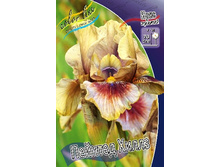 95,3���. ���� ���������� ������� �����(�������� ���� �� 2 ��., ����������� ����� 1��.).jpg