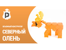 ����� ��� ������������� �� ��ߣ����� ������������ - �������3.jpg