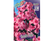 41,87���. ����� ����� ���(�������� ���� �� 3 ��., ����������� ����� 1��.).jpg