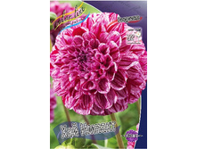 93,6���. �������� ��� ������(�������� ���� �� 1 ��., ����������� ����� 1��.).jpg