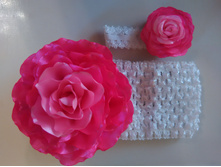 IMG 20151005 104200.jpg