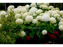 ����. ���� ������ �9-148�.jpg