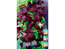 153,35���. �������� ���� ���(�������� ���� �� 2 ��., ����������� ����� 1��.).jpg