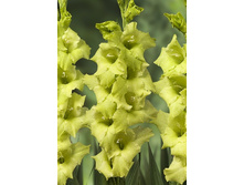 10,01���. ��������� ���������(���������� ������ ������ ���������� �� 8 ��.).jpg