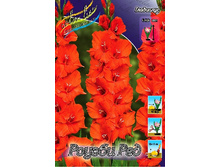 10,19���. ��������� ������ ���(���������� ������ ������ ���������� �� 8 ��.).jpg