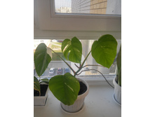 20151005 113443 HDR.jpg