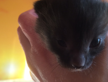 2015-08-12 16.48.46.jpg