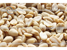 ������ �������