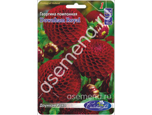 ������� ����.jpg