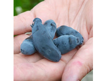 192���. ��������� ���������� ������������.jpg