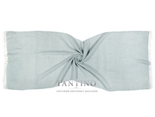 IT2-16-4-450 �..jpg