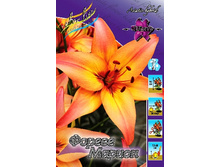 33,08���. ����� ������ ������(�������� ���� �� 5 ��., ����������� ����� 1��.).jpg