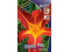 43,55���. �������� ����� ���(�������� ���� �� 2 ��., ����������� ����� 1��.).jpg