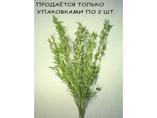 11/0002� �����