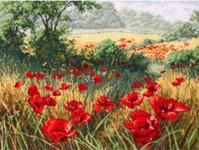 ������� ���� 38*27 Ag4637 - 846 ���.