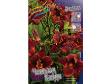 196,6���. �������� ������� �����(�������� ���� �� 1 ��., ����������� ����� 1��.).jpg