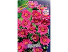 102,1���. ������� �������(�������� ���� �� 1 ��., ����������� ����� 1��.).jpg