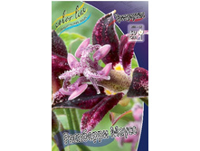 146,8���. ��������� ��������� �����(�������� ���� �� 1 ��., ����������� ����� 1��.).jpg