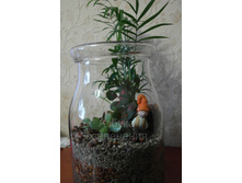 ��������� ��������.jpg