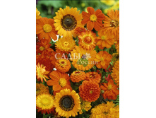 ����� ������� ���������� 1,5�� 18.jpg