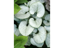 345,9���. �������� ������ �����(�������� ���� �� 1 ��., ����������� ����� 1��.).jpg