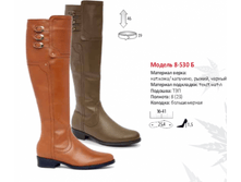 3100� ������ ����, 3570� �������