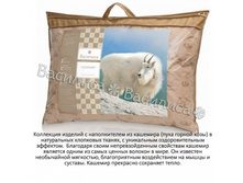 ������� �������.jpg