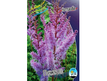 76,9���. �������� ������(�������� ���� �� 1 ��., ����������� ����� 1��.).jpg