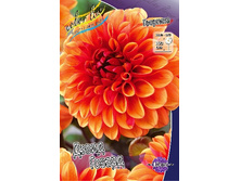 80,2���. �������� ����� ������(�������� ���� �� 1 ��., ����������� ����� 1��.).jpg