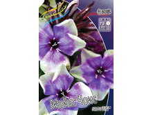 123,2���. ����� NEON- ����� ����(�������� ���� �� 2 ��., ����������� ����� 1��.).jpg