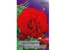 38,54���. ������� �������� ����-�������(�������� ���� �� 5 ��., ����������� ����� 1��.).jpg