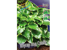 126,9���. ����� ����� ��� �����(�������� ���� �� 1 ��., ����������� ����� 1��.).jpg