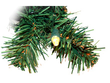 ���� ���������� ��������, 100�� � ���.jpg