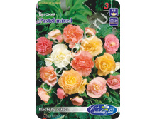 ������� ����.jpg