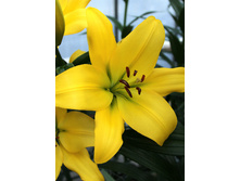 21,9���. ����� ����������(�������� ���� �� 7 ��., ����������� ����� 1��.)���16.jpg